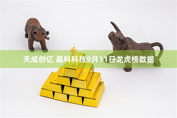 天成创亿 晶科科技9月11日龙虎榜数据
