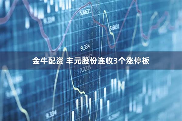 金牛配资 丰元股份连收3个涨停板